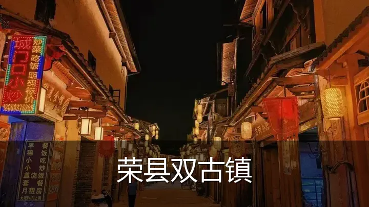 荣县双古镇