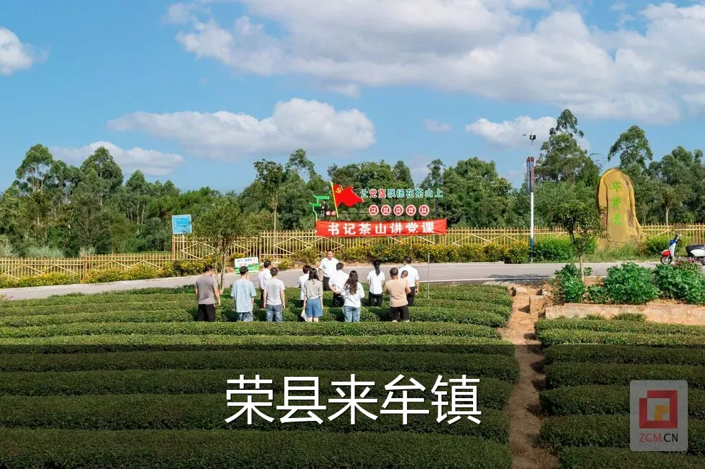 荣县来牟镇