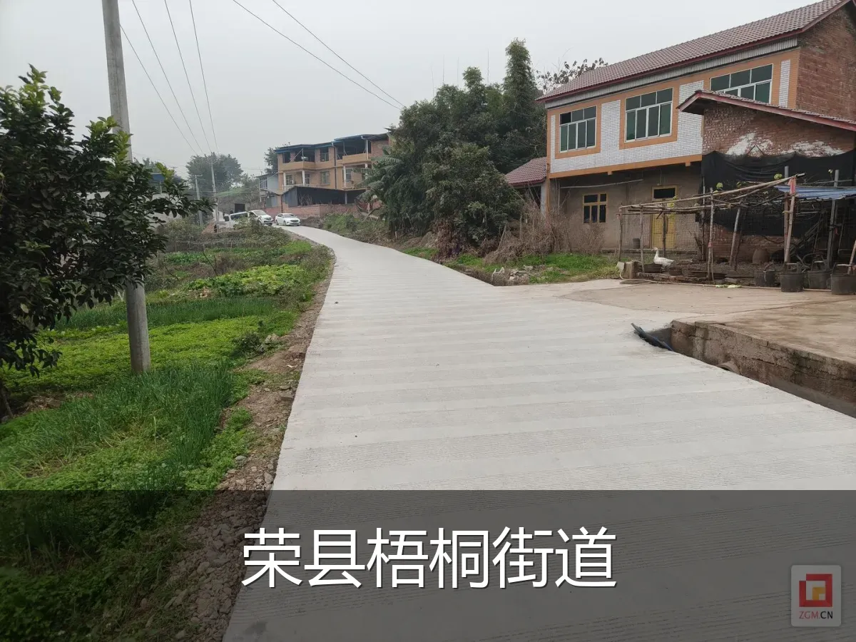 荣县梧桐街道