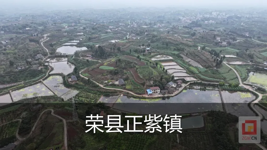 荣县正紫镇