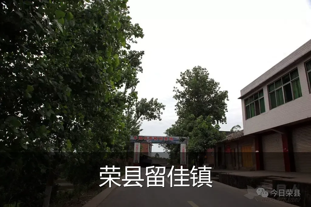 荣县留佳镇