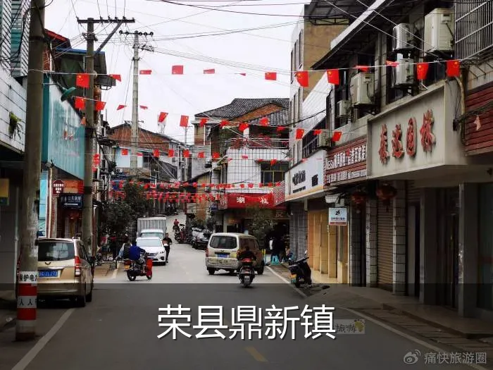 荣县鼎新镇